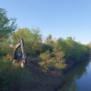 Excavator working the brush-covered top bank above the channel