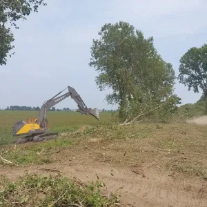 Excavator with a grapple felling trees along the clearing and snagging limits