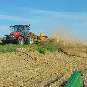 Tractor and spreader broadcasting straw mulch over the seeded bank