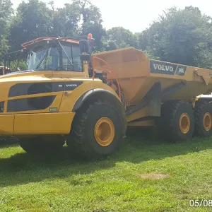 Articulated off-road haul trucks lined up at the edge of the tree line