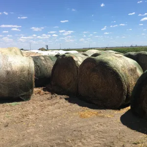 Round straw bales staged on site as mulching material for the seeding and erosion-control work